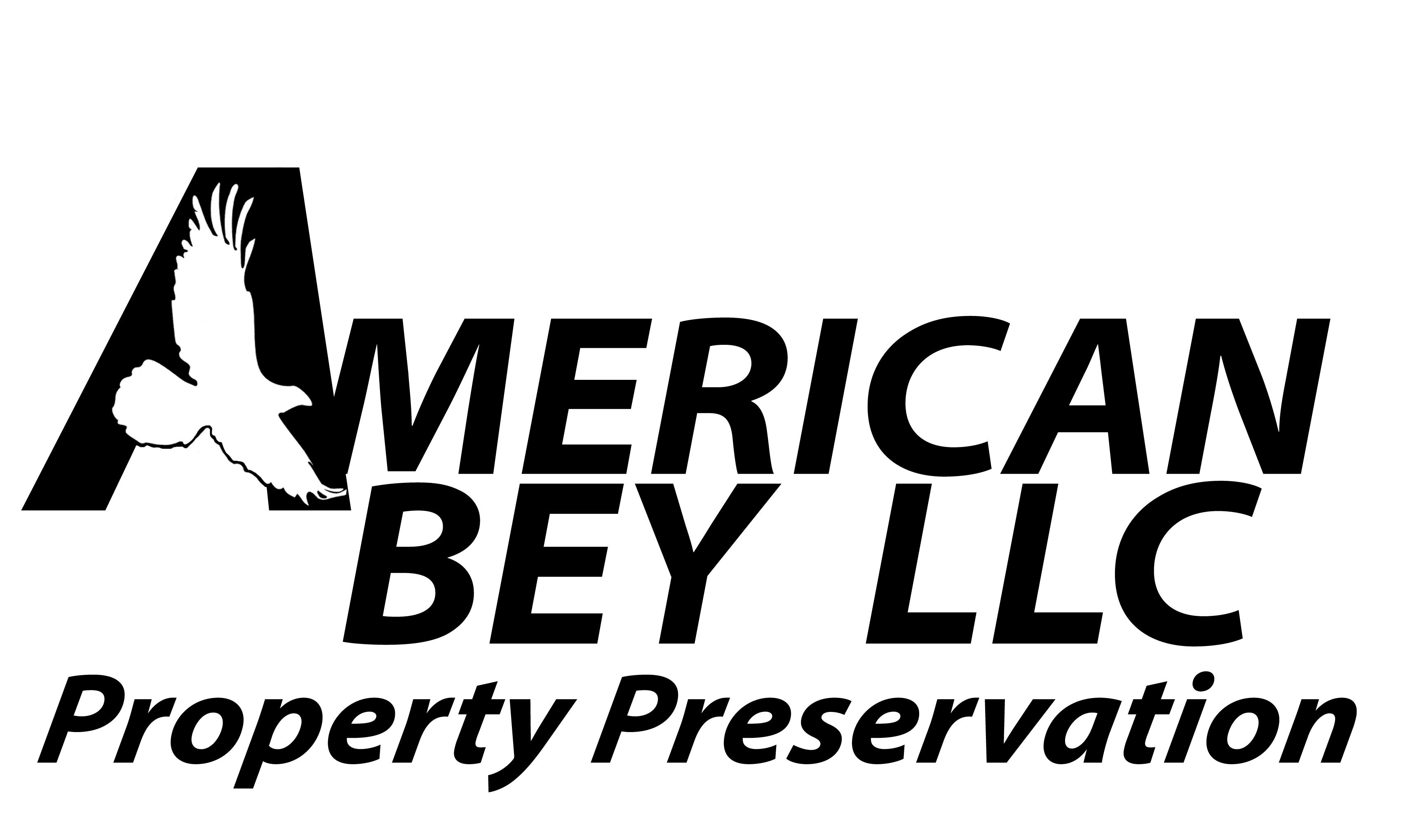 Avatar for American Bey LLC