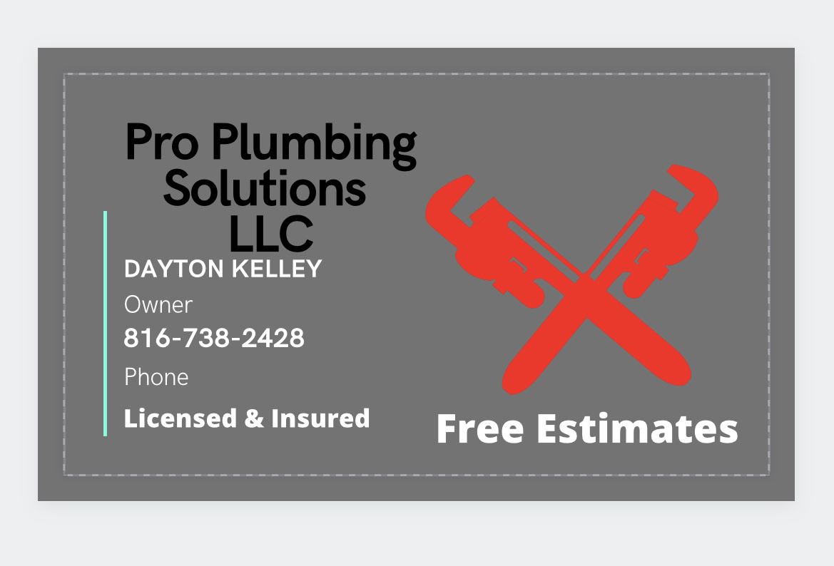 Logo for Pro Plumbing Solutions LLC
