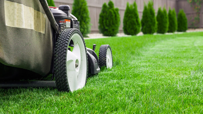 Avatar for Andos Landscaping & Property Management LLC