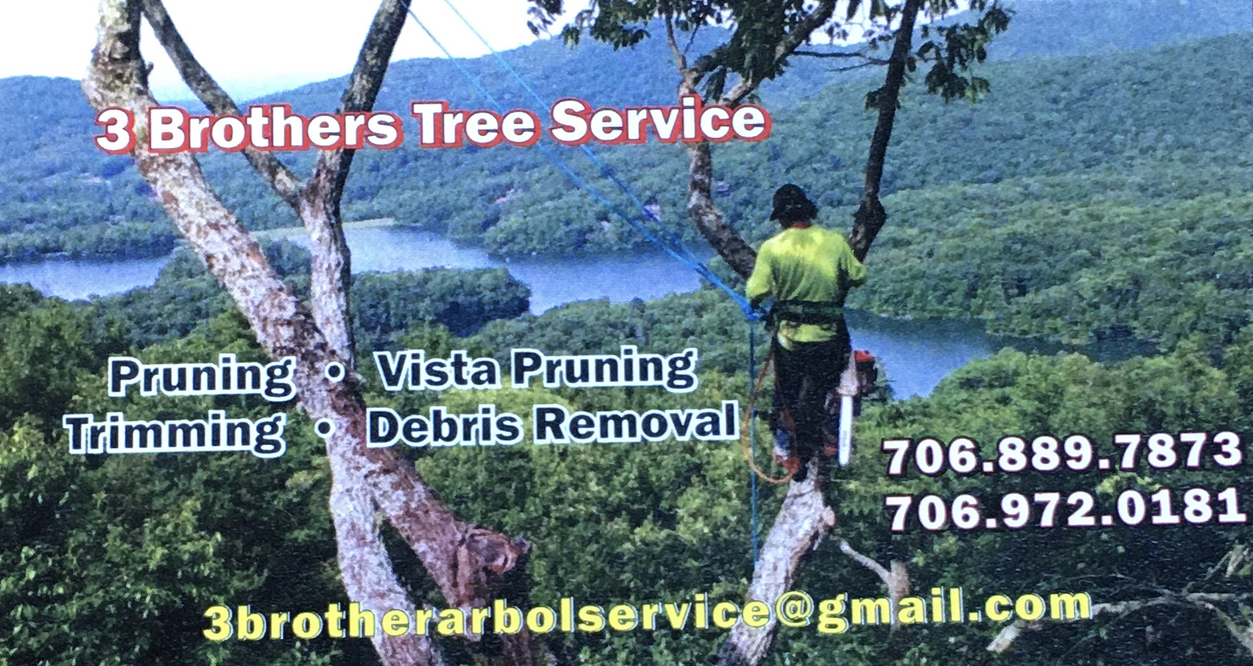 3 brother tree service logo