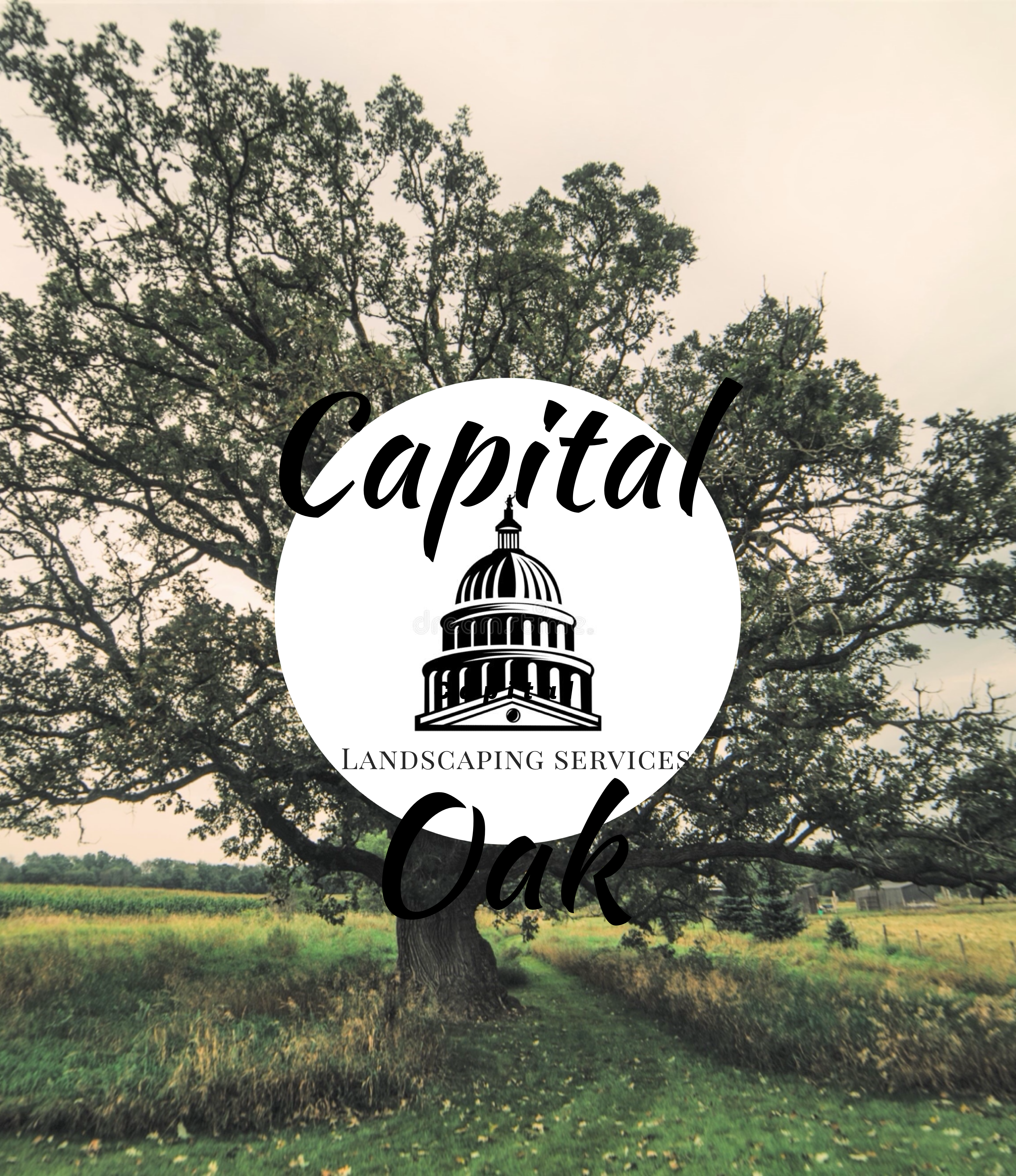 Avatar for Capital Oak