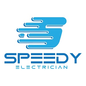 Logo for Detroit Speedy Electrician