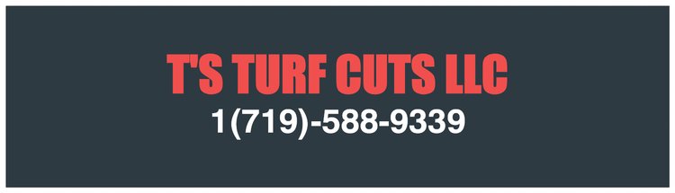 TS TURF CUTS LLC logo