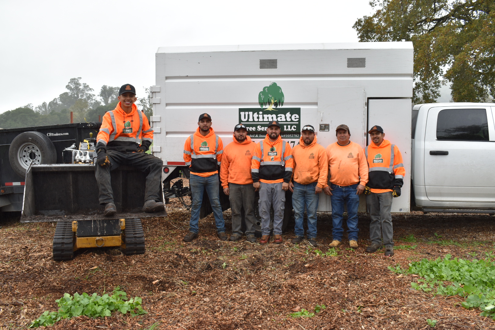Avatar for Ultimate Tree Service