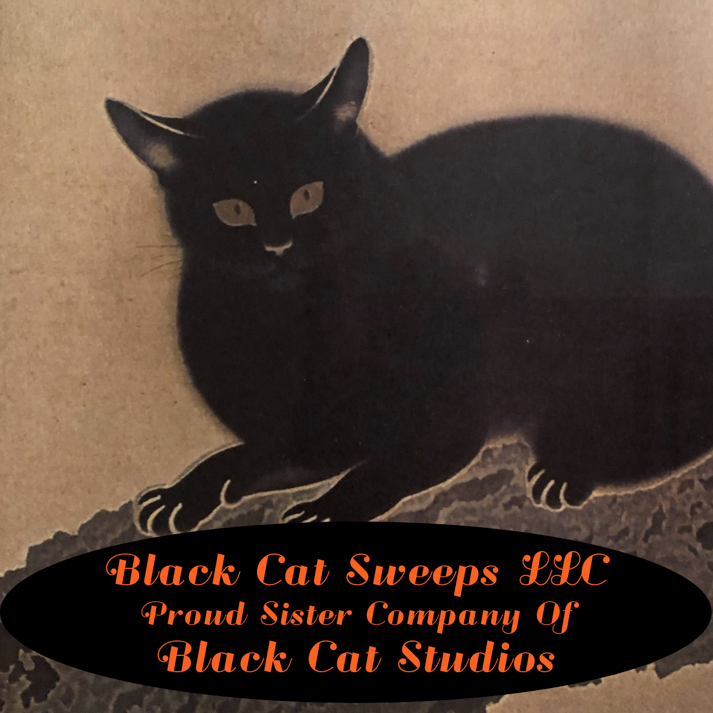 Black Cat Sweeps LLC logo