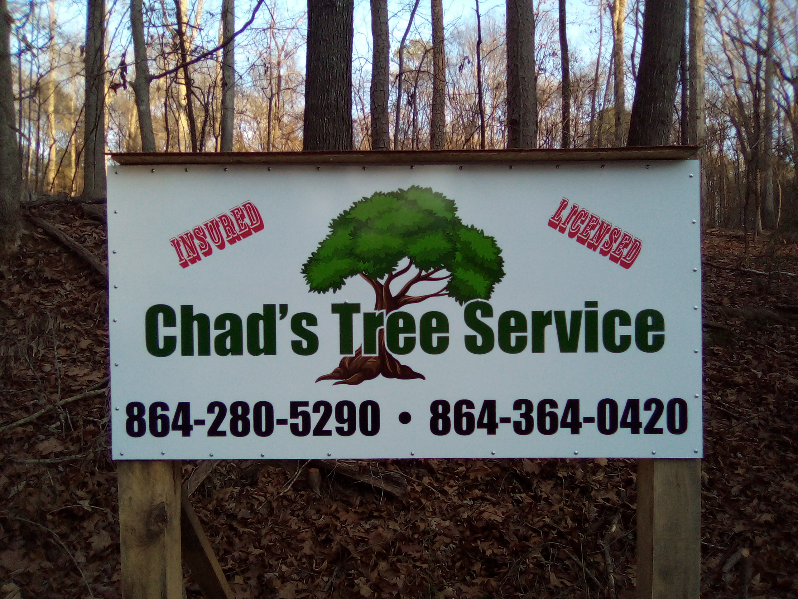 Avatar for Chad's Tree Service