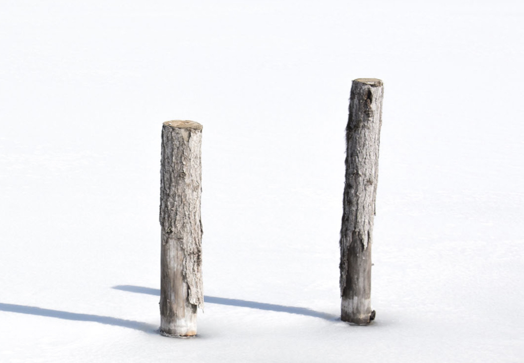 Avatar for JC TREE & STUMP LLC