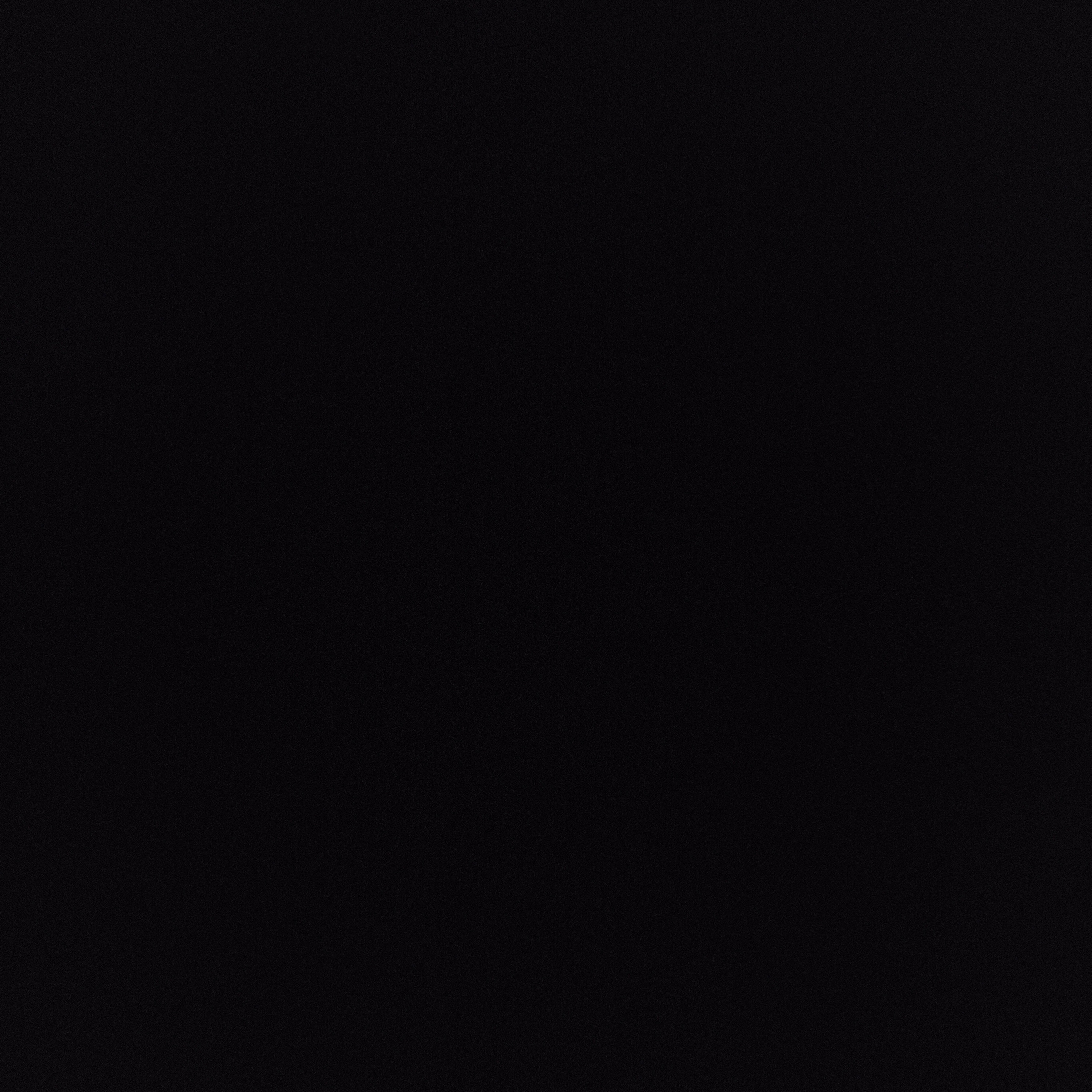 Nason exterminating logo