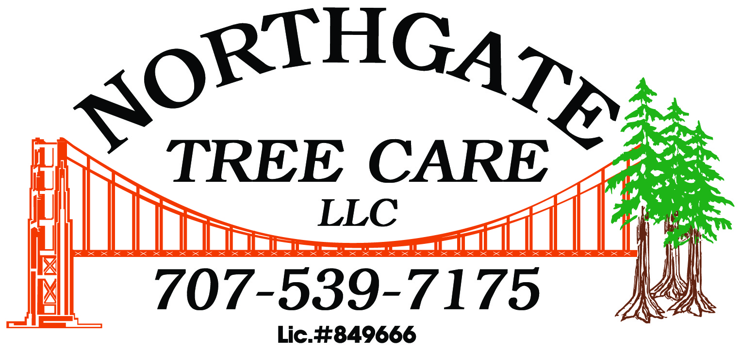 Northgate Tree Care logo