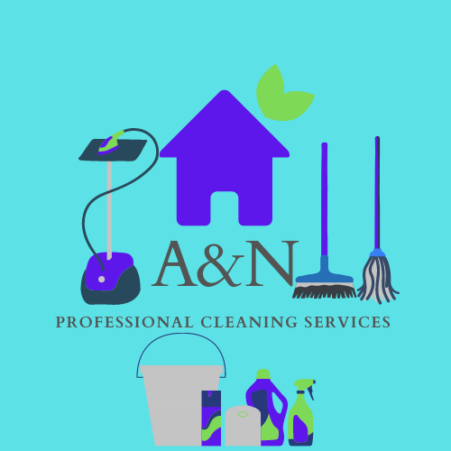 A&N professional logo