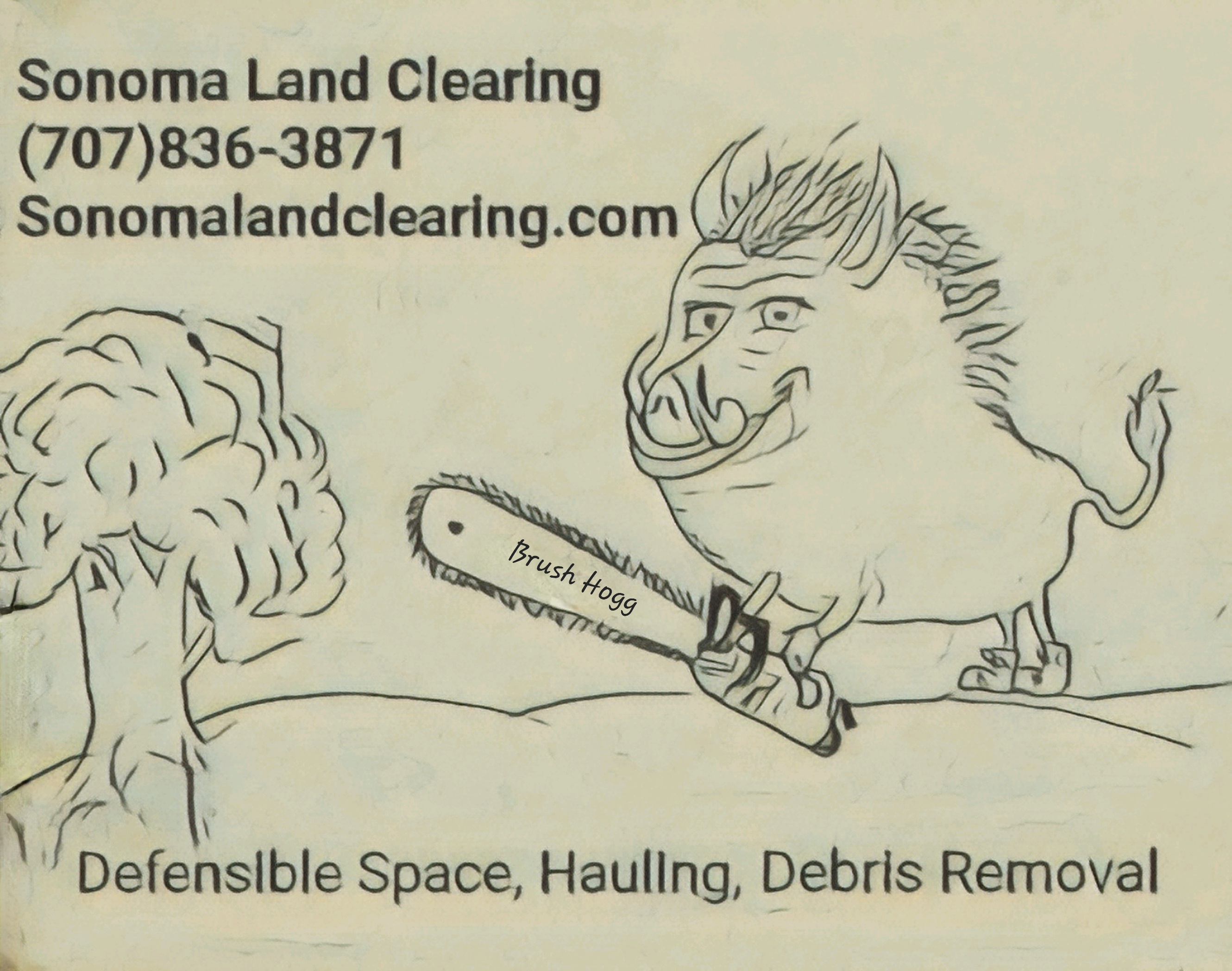 Avatar for Sonoma Land Clearing