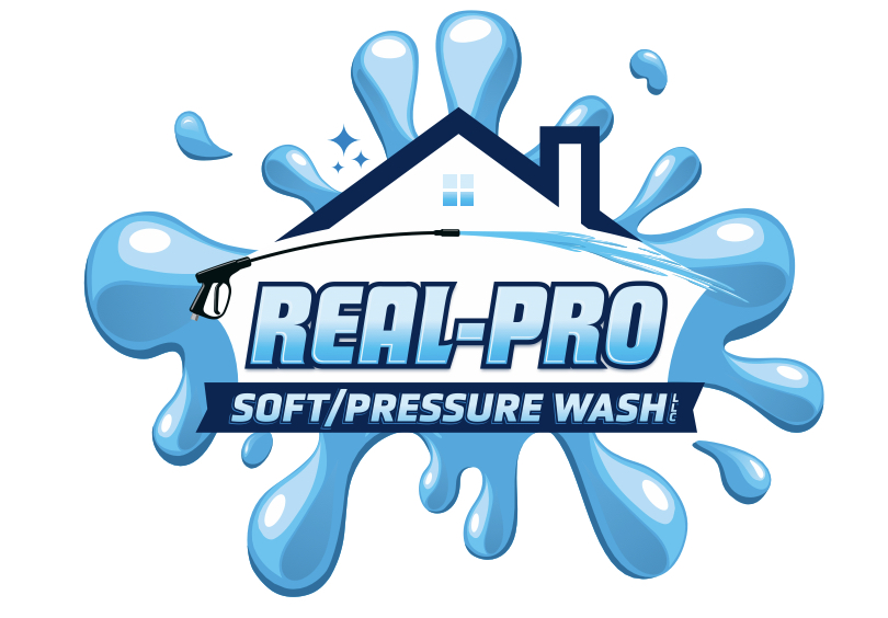 Avatar for Real-Pro Soft/Pressure Wash LLC
