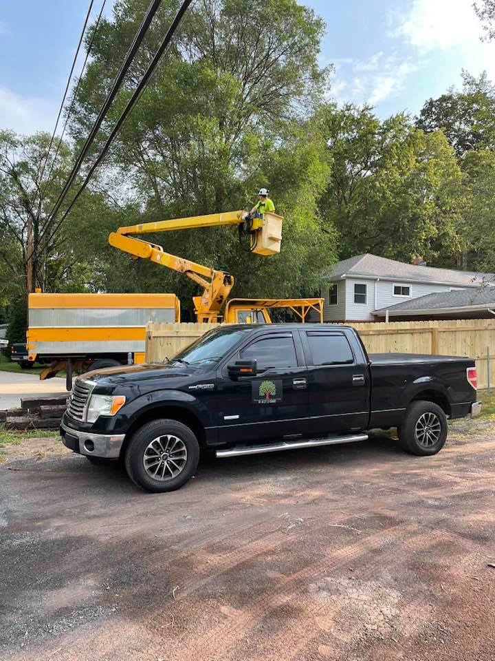 Simmons Tree Service logo