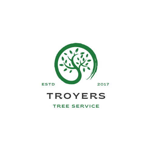 Avatar for Troyers Tree Service