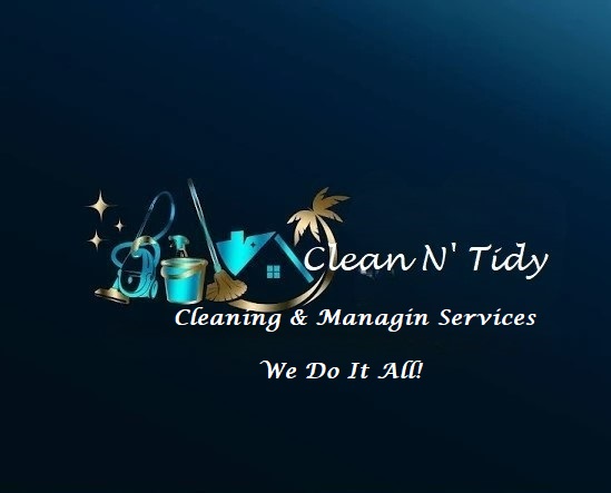 Logo for Clean N' Tidy