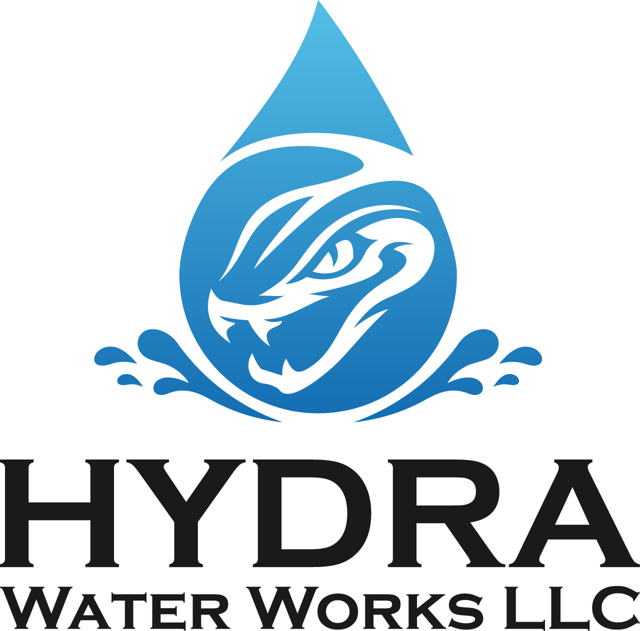 Avatar for Hydra Water Works LLC