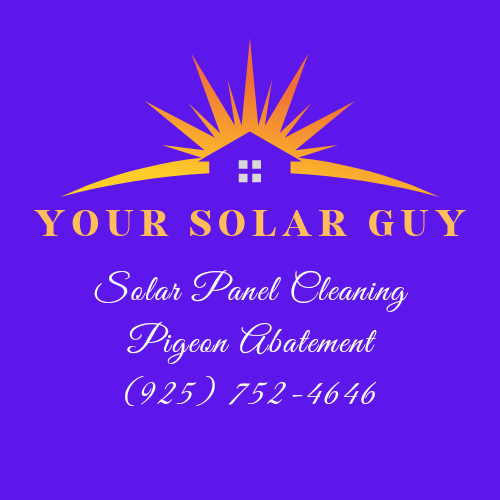 Avatar for Your Solar Guy