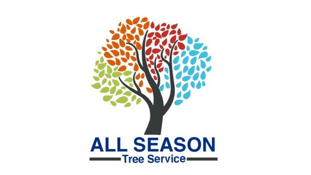 All season tree service logo