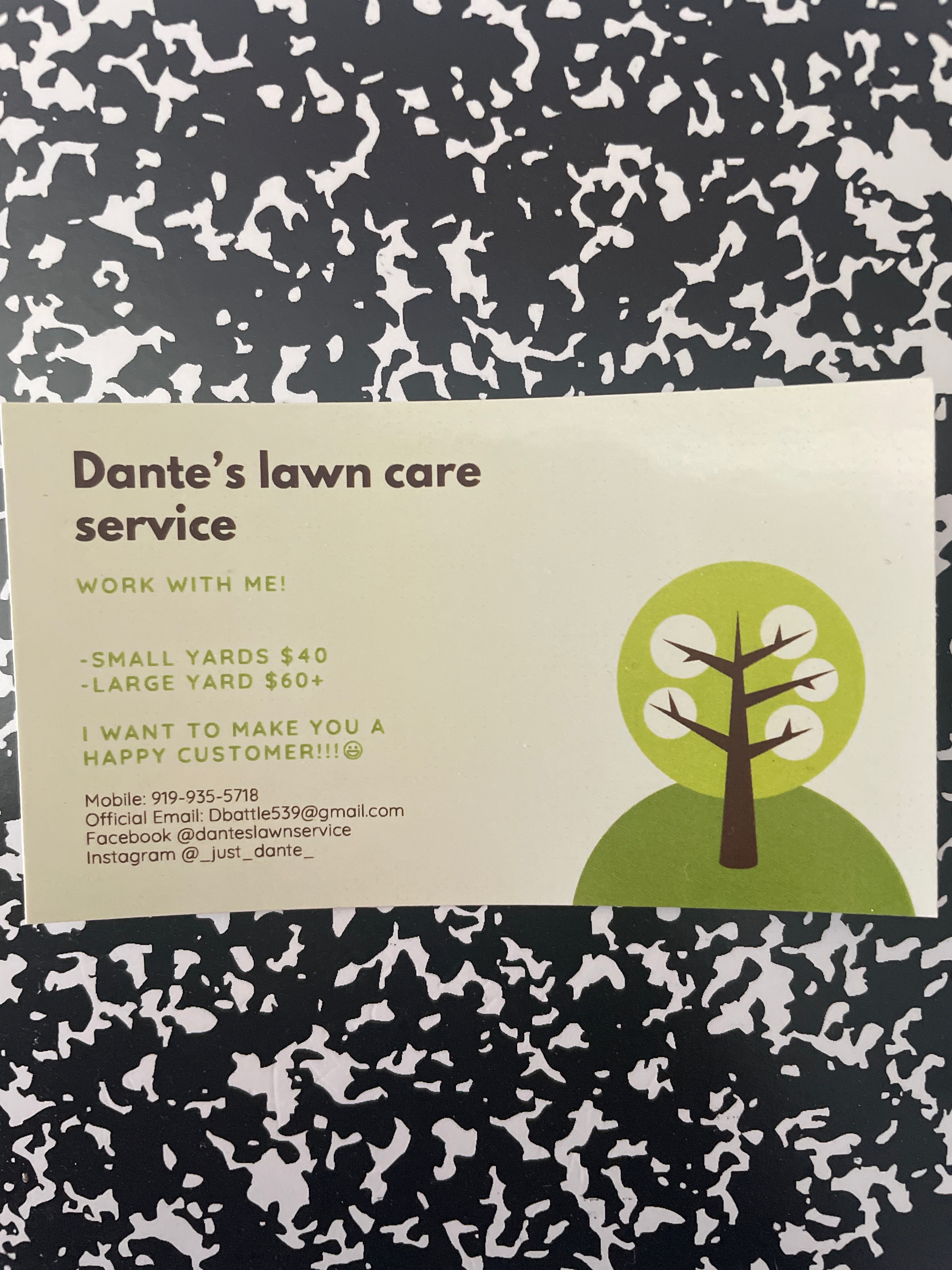 Logo for Dantes lawn care