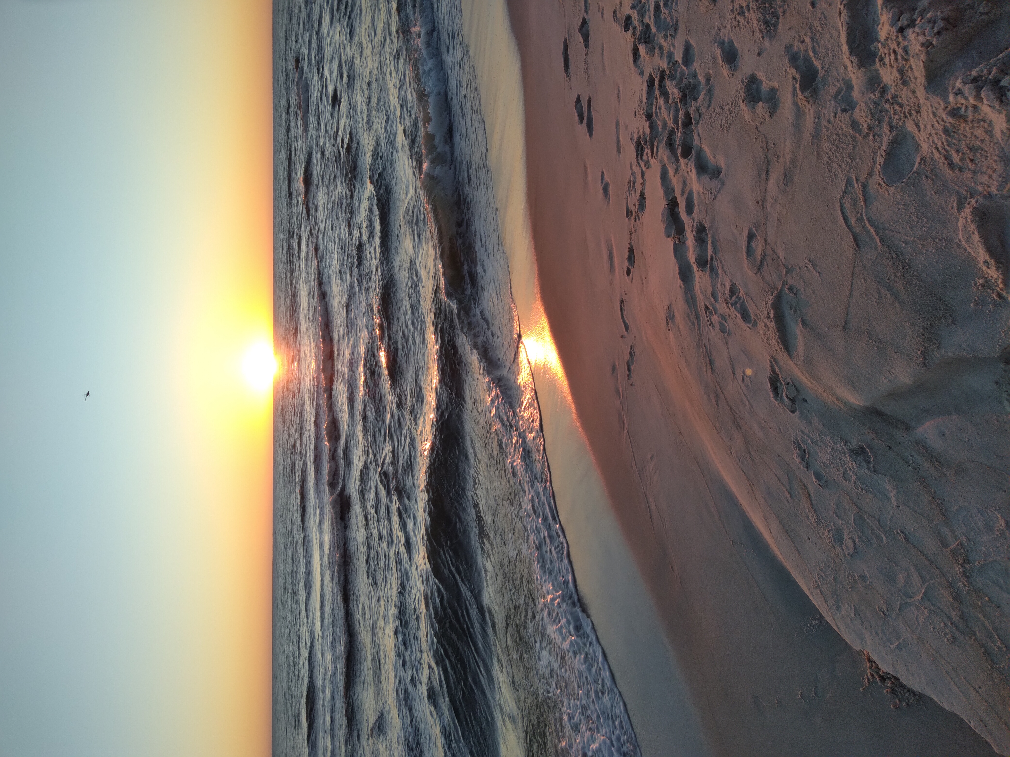 Setting Sun Pools LLC logo