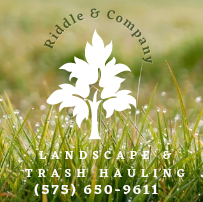 Avatar for Riddle and Company