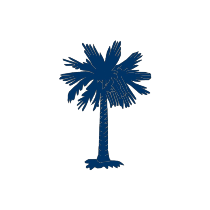 Avatar for Palmetto Cleaning Pro