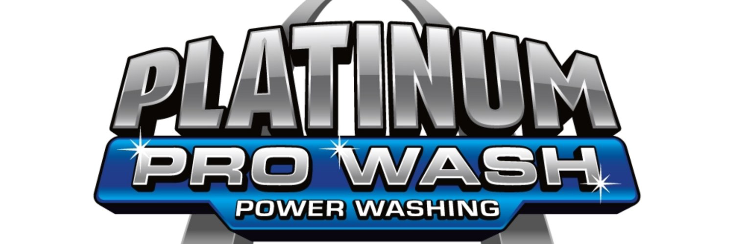 Platinum Pro Wash logo