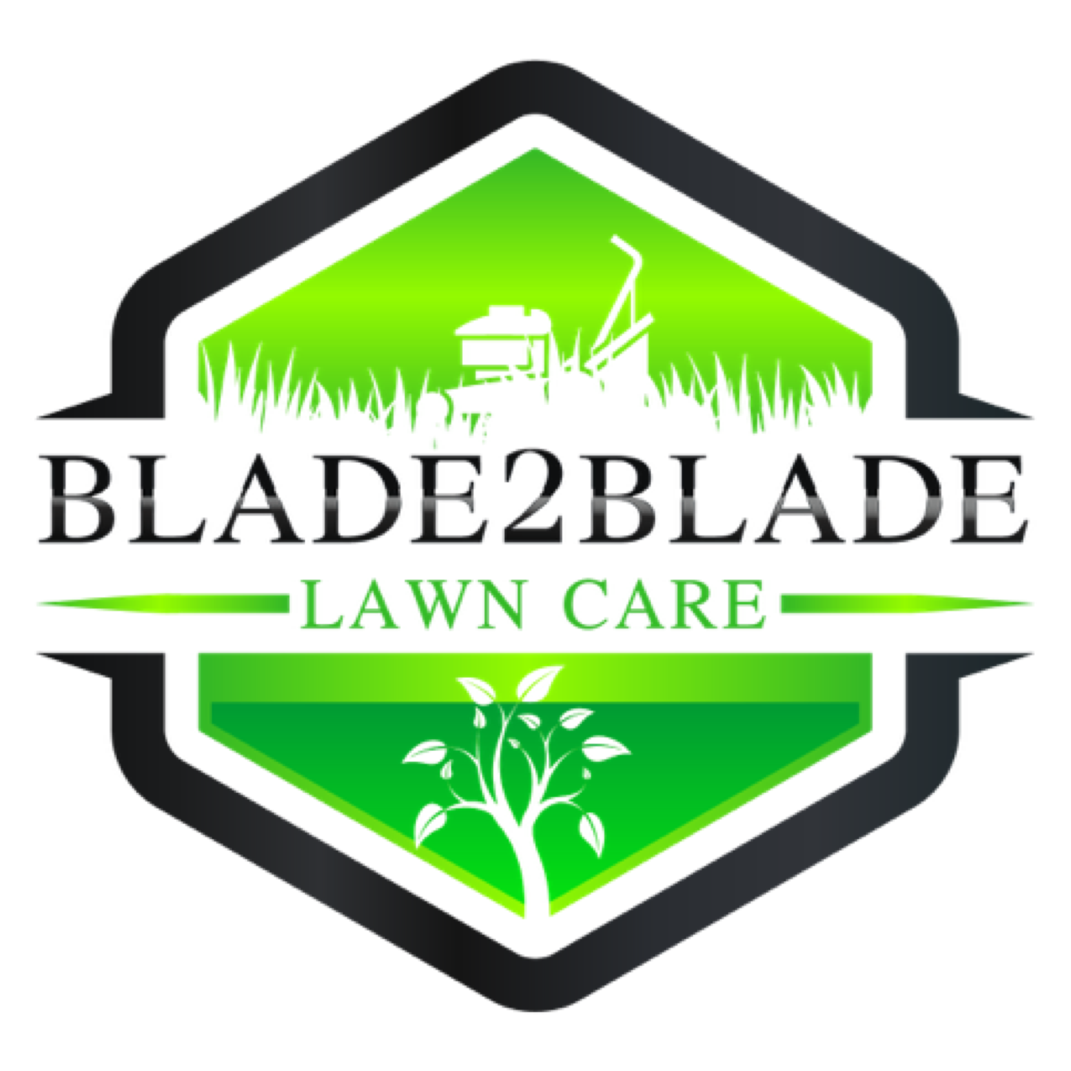 Blade2Blade Lawn Care logo