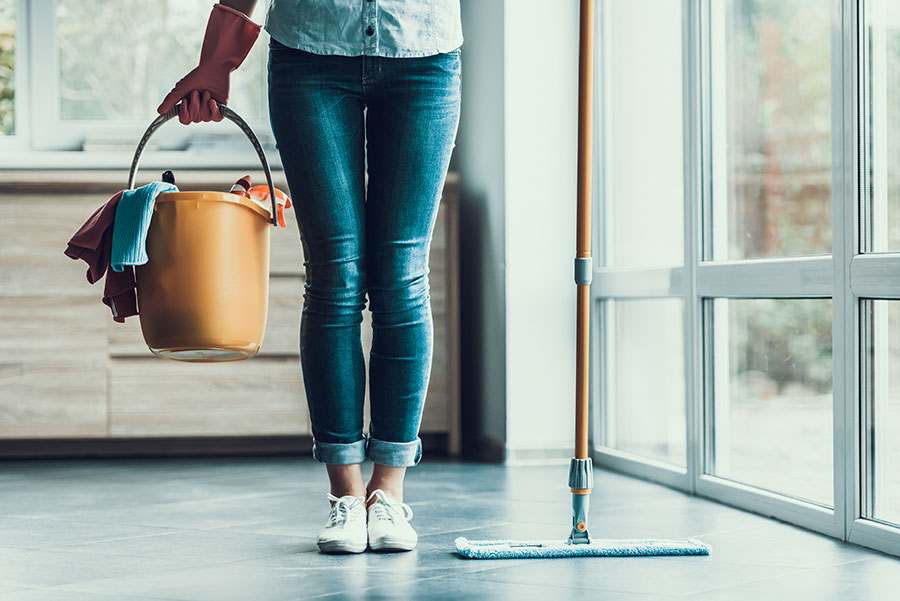 Cleaning Lady logo