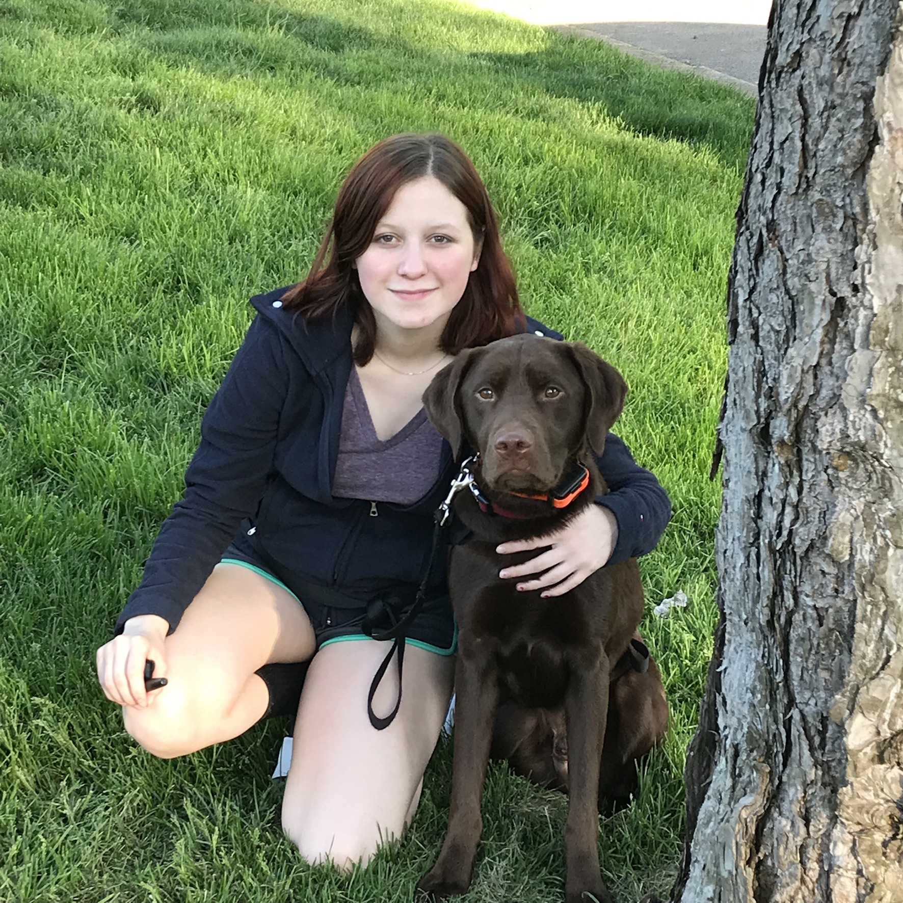Kiya Cleaning & Pet Care logo
