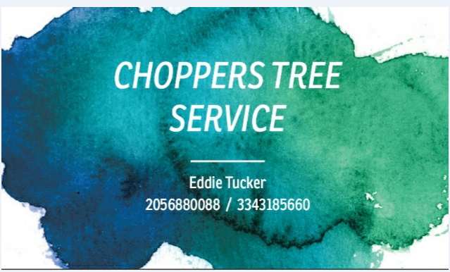 Avatar for Choppers Tree Service