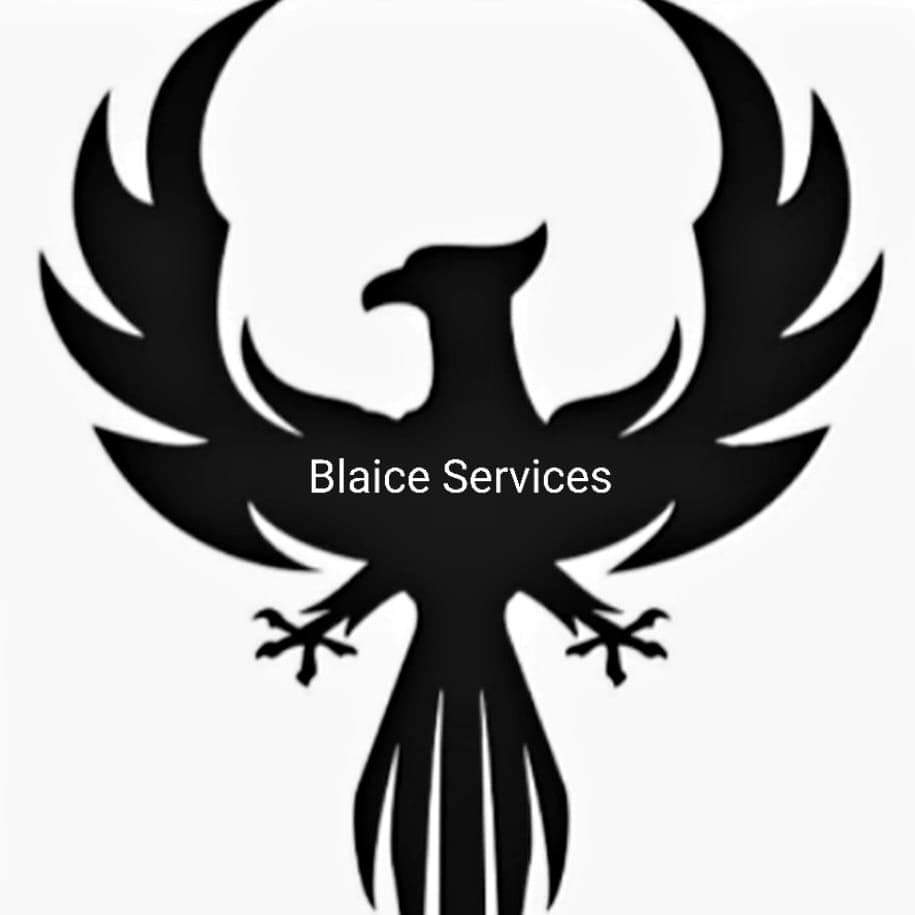 Blaice Services llc logo