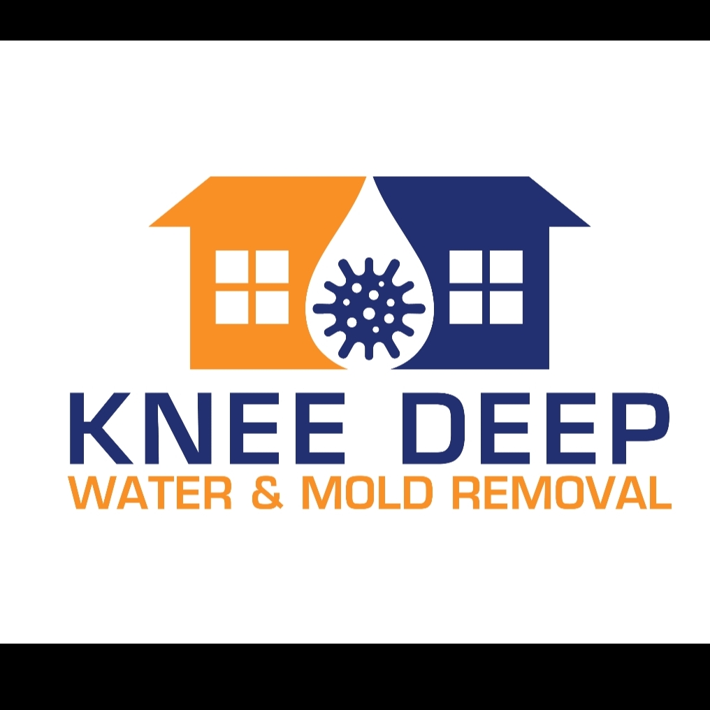 Avatar for Knee Deep Water Mold Removal