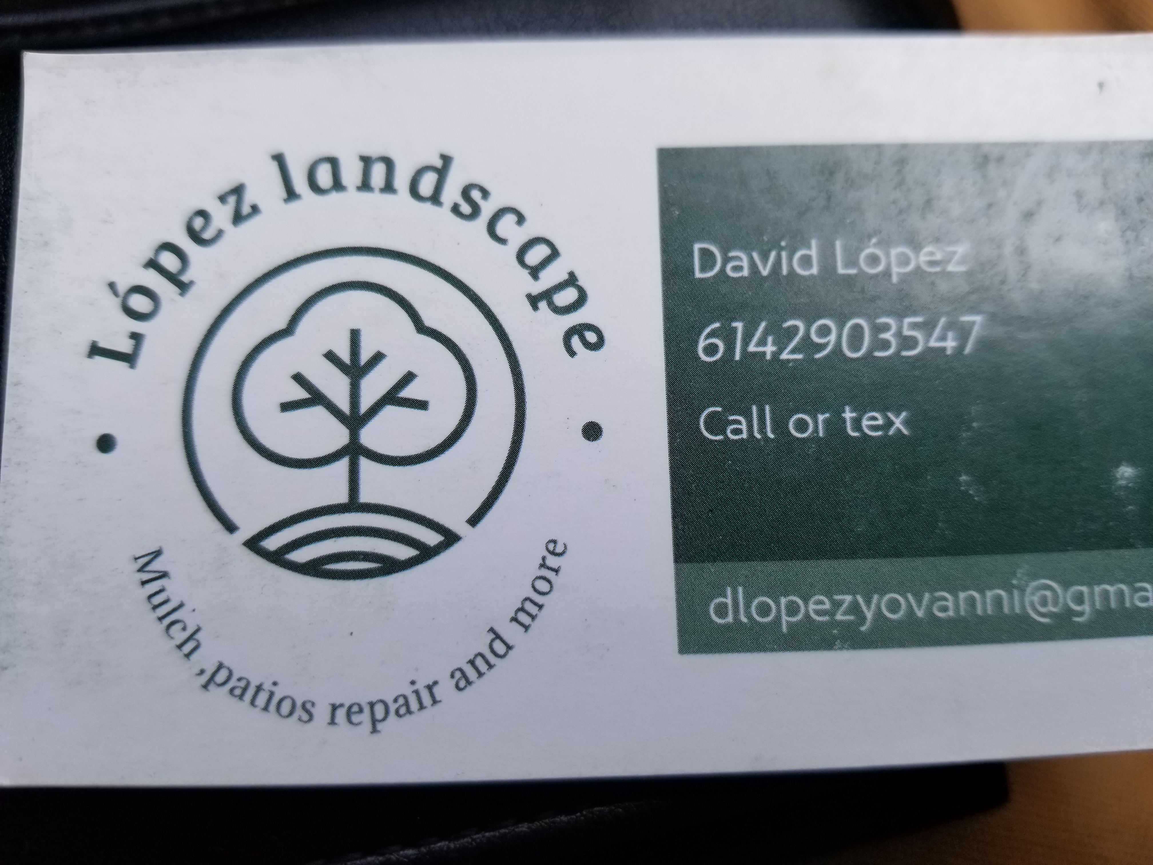 Davidlandscaping logo