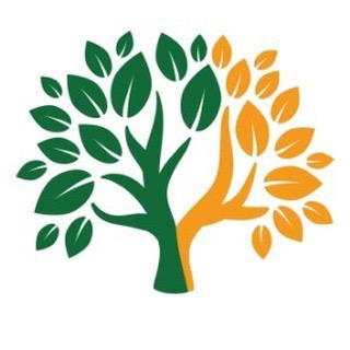 Avatar for Y Professional Tree Service