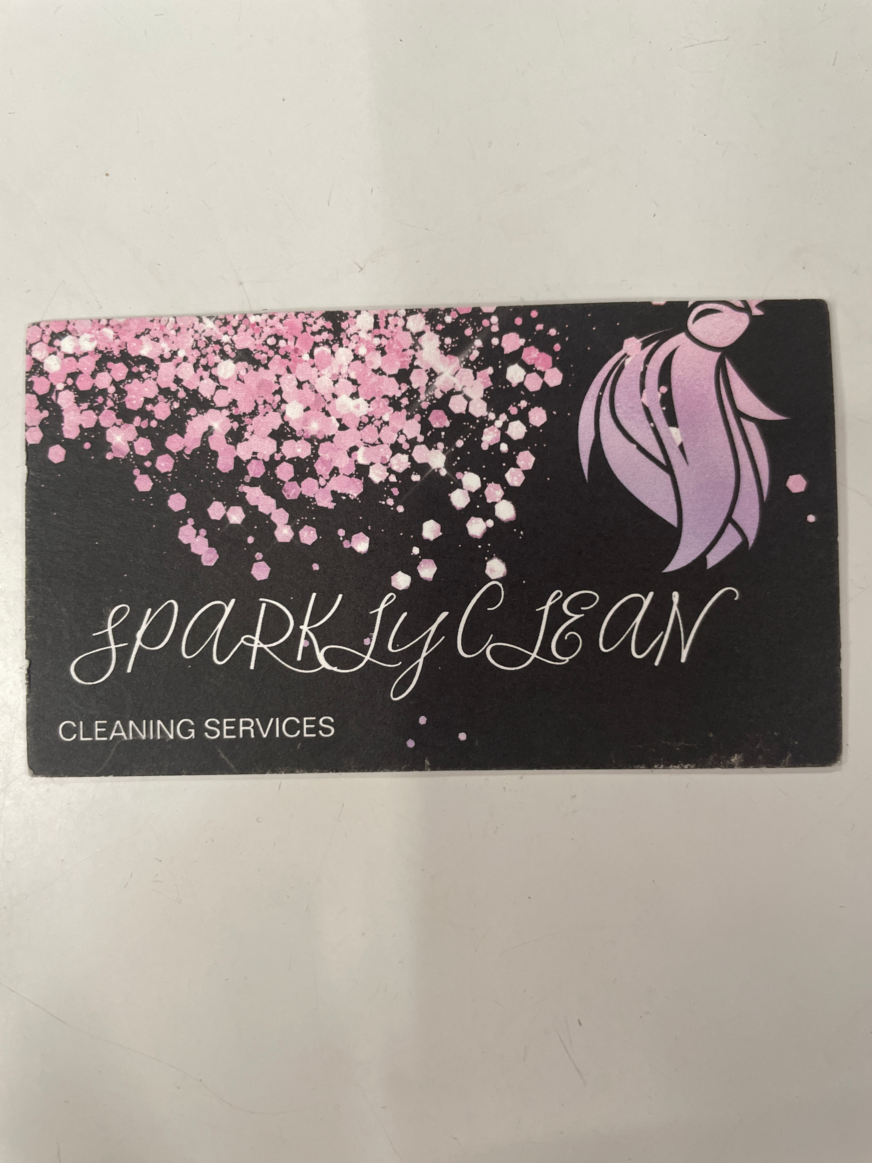 Sparkly Clean logo