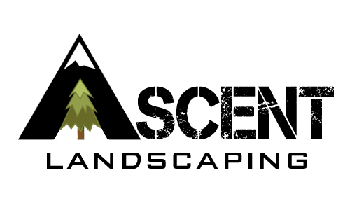 Avatar for Ascent Landscaping