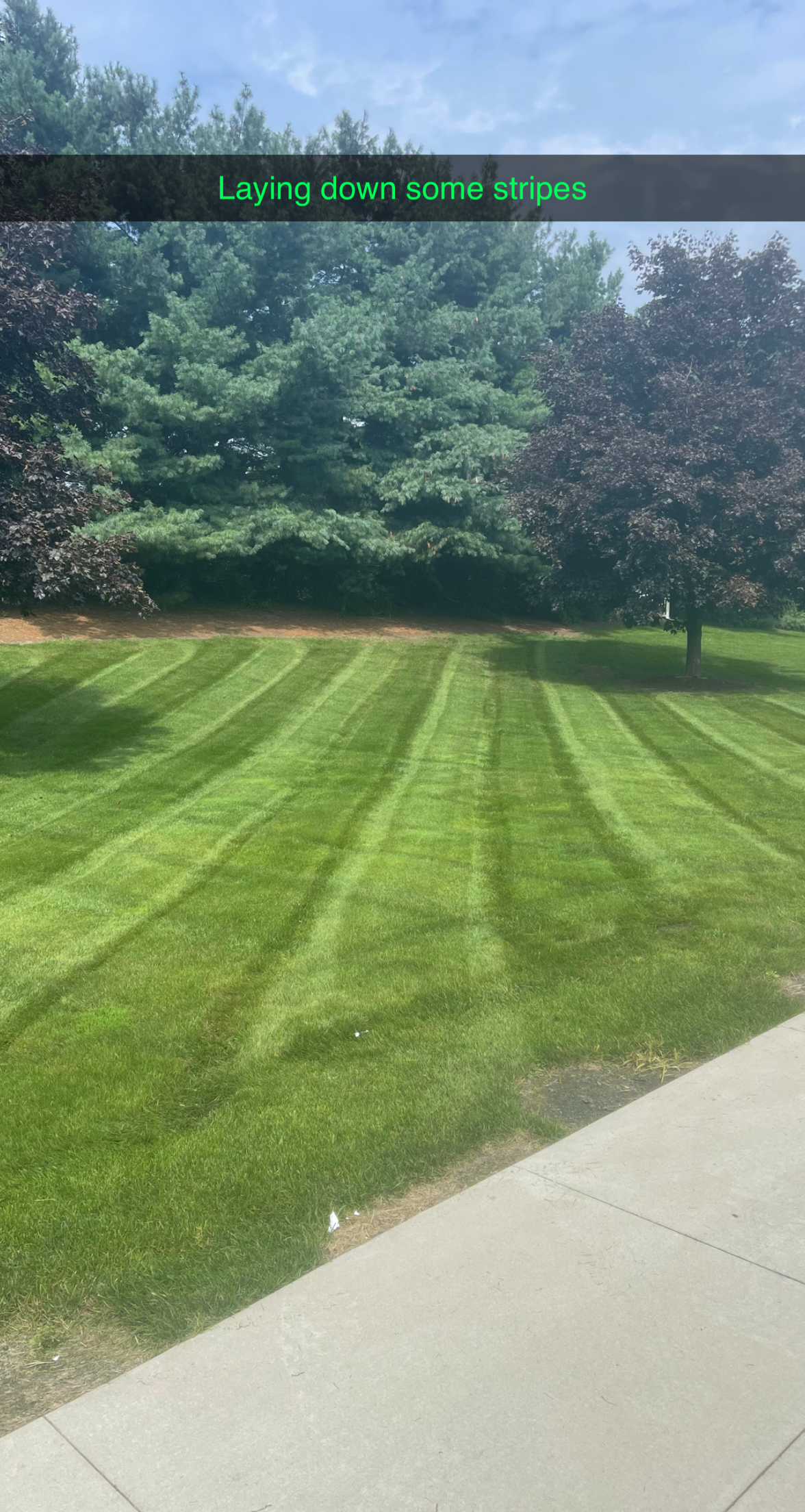 Wise Lawn and Landscaping logo