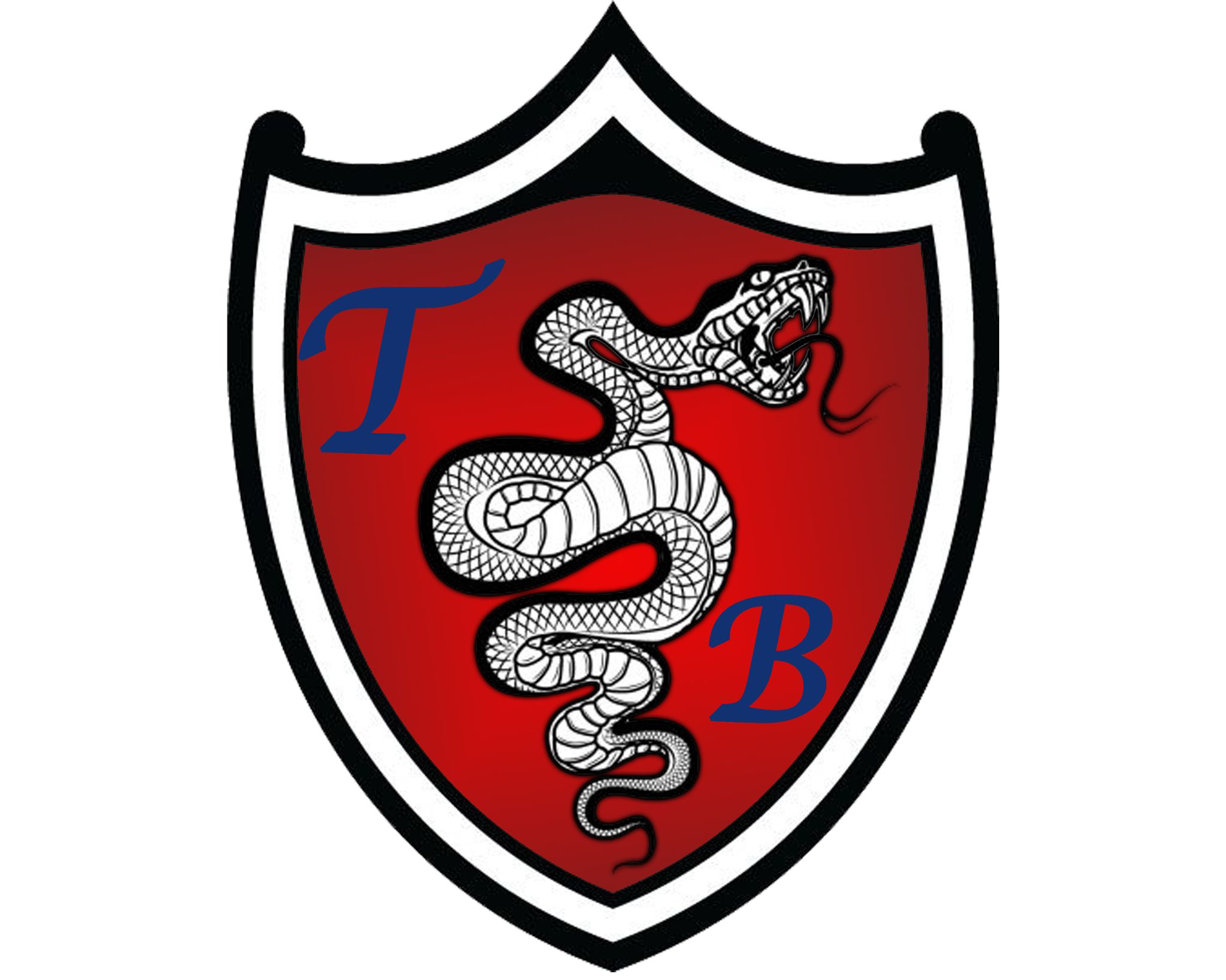 TB Technical Consulting logo