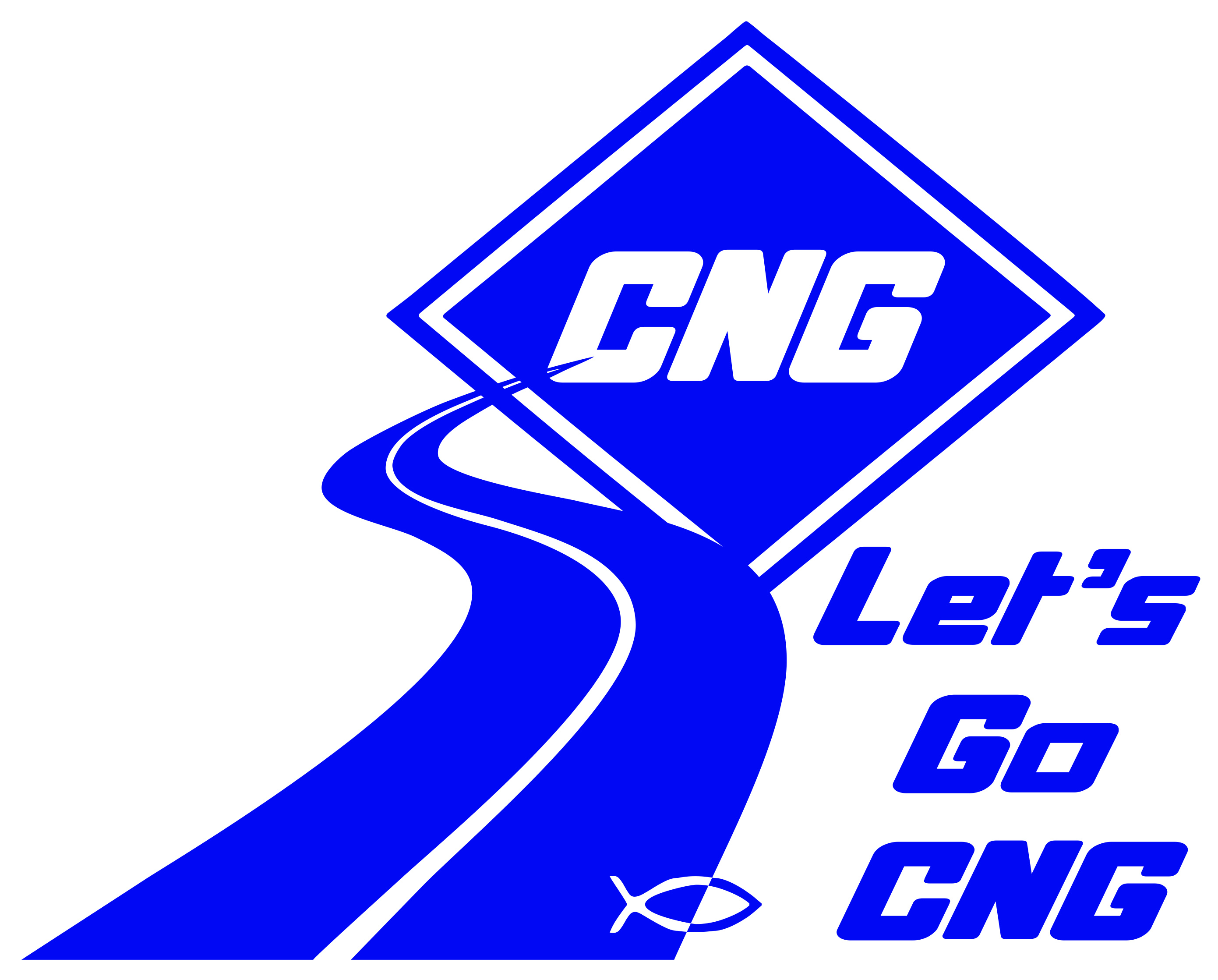 Lets Go CNG logo