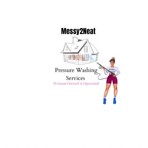 Messy2Neat LLC logo