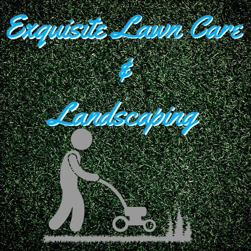 Avatar for Exquisite lawn care
