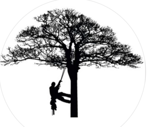 Avatar for Johnsons Tree Service