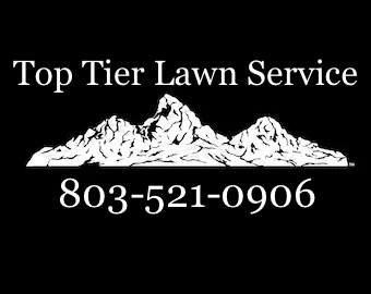 Avatar for Top Tier Lawn Service