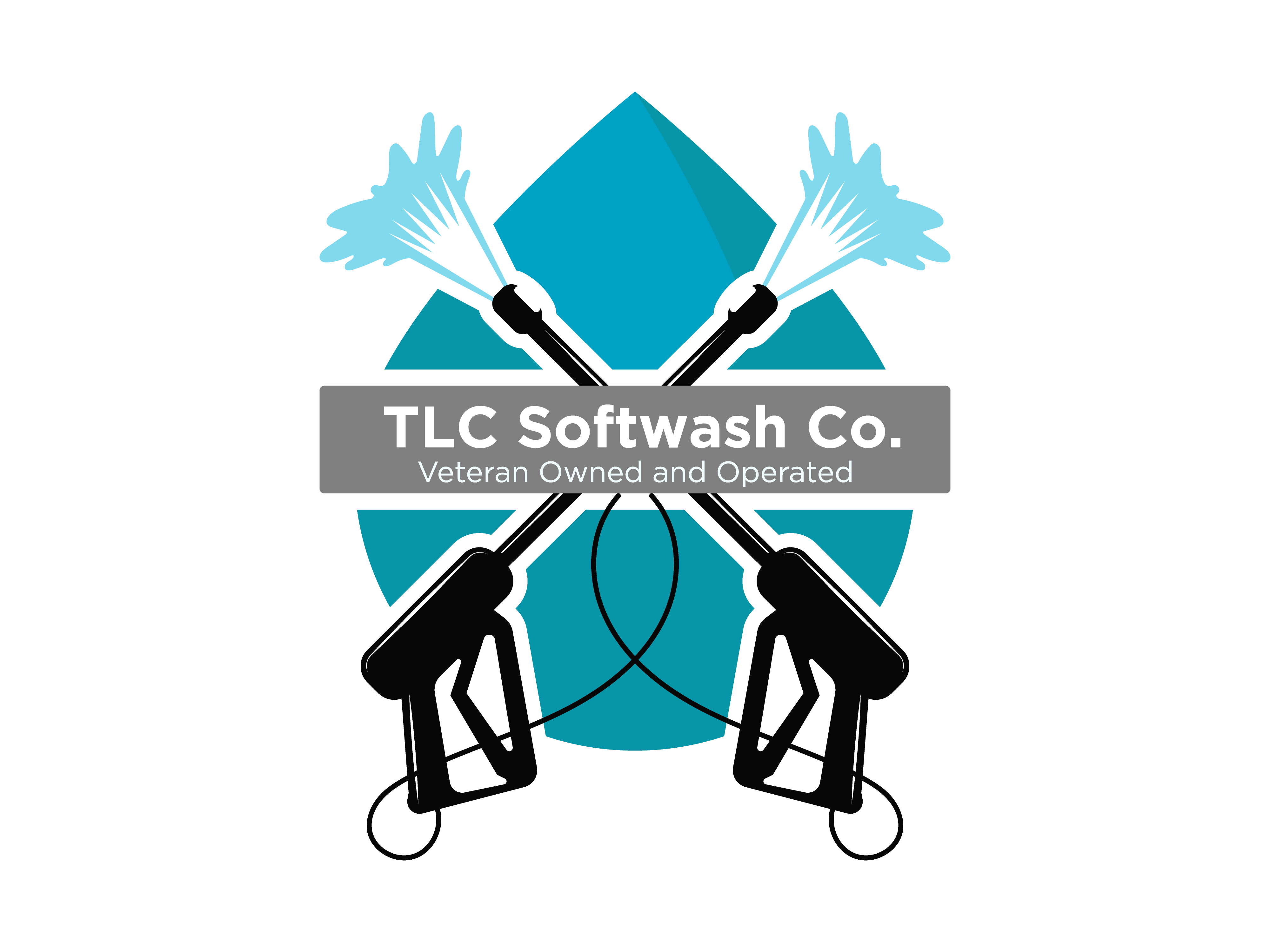 TLC Soft Wash Co. logo