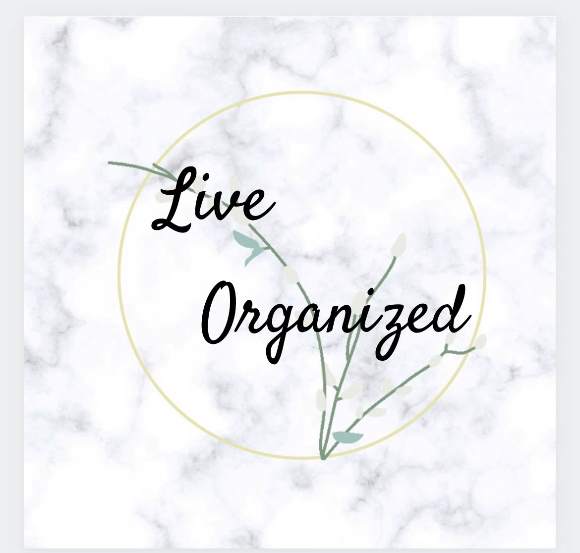 Avatar for LiveOrganized