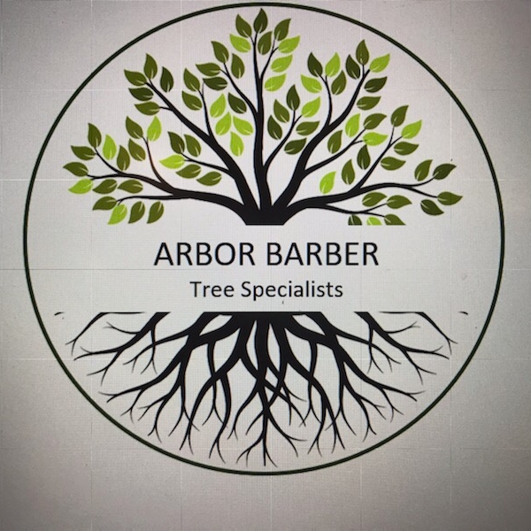 Avatar for Arbor barber tree specialists