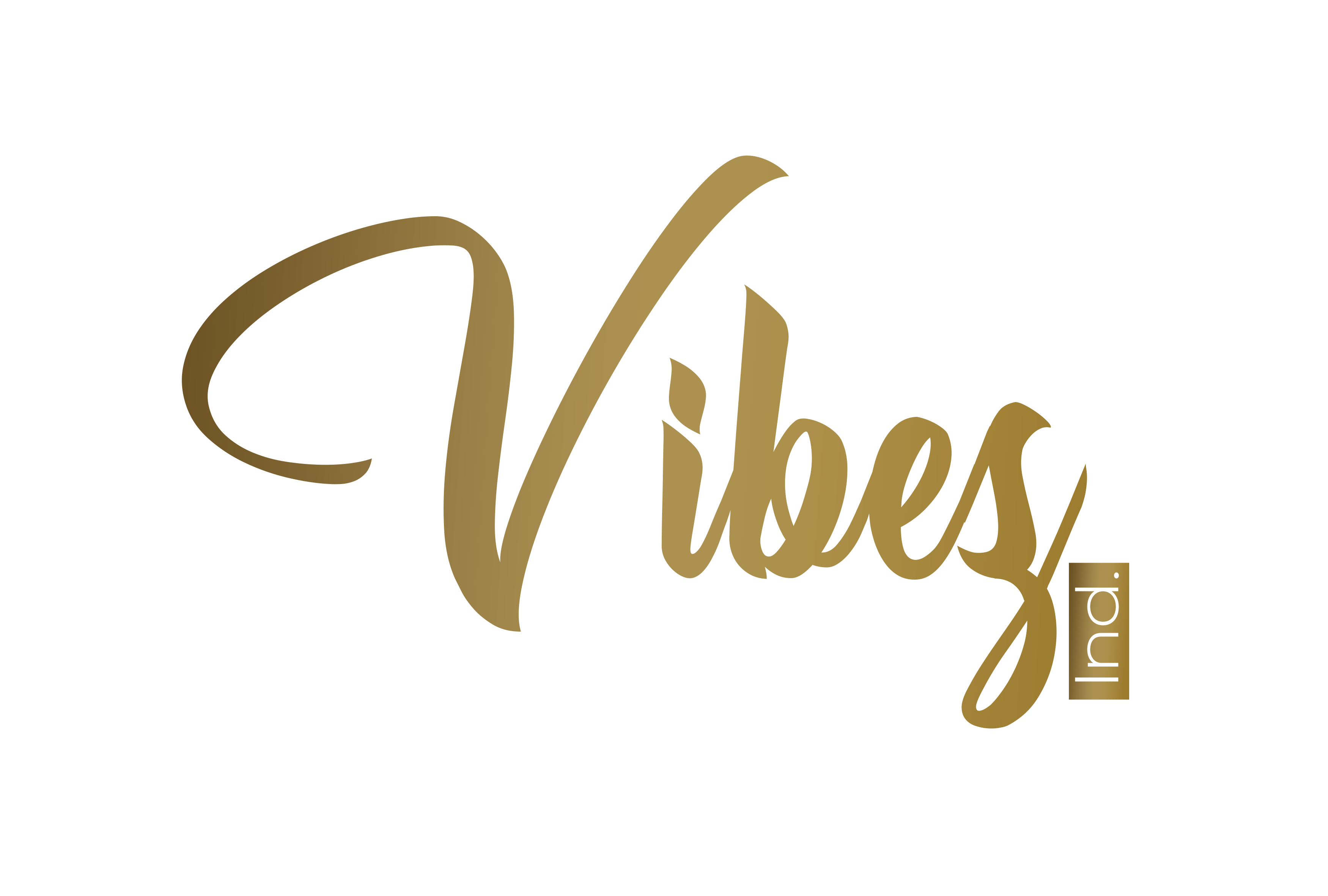 Avatar for Vibez Industry