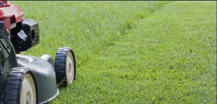 Avatar for Weaver Lawn Care and Pressure Washing
