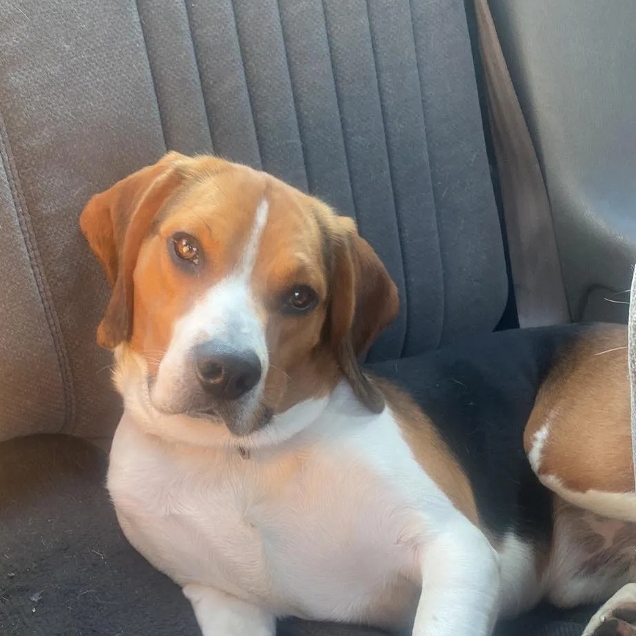 Avatar for T&J Cleaning